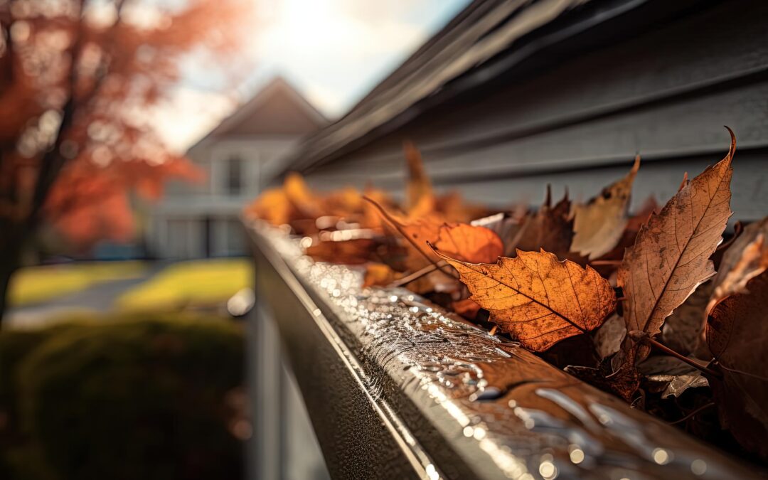 The Importance of Gutters: Installation, Cleaning, and Repairs
